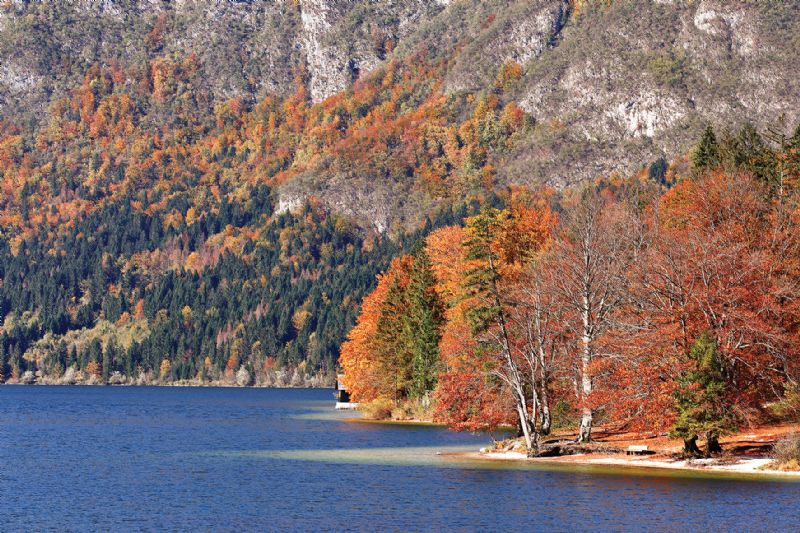 Slovenia