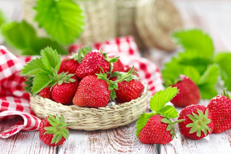 It's a wonderful time of year to visit a farm and pick your own delicious berries