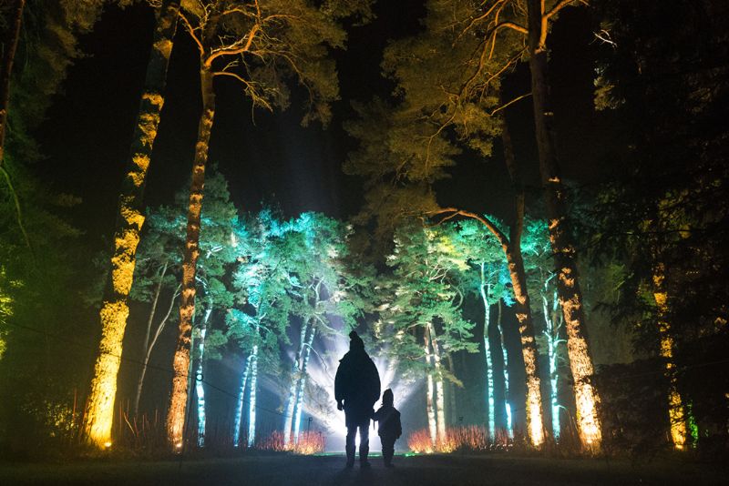 Image: Enchanted Christmas, Paul Box