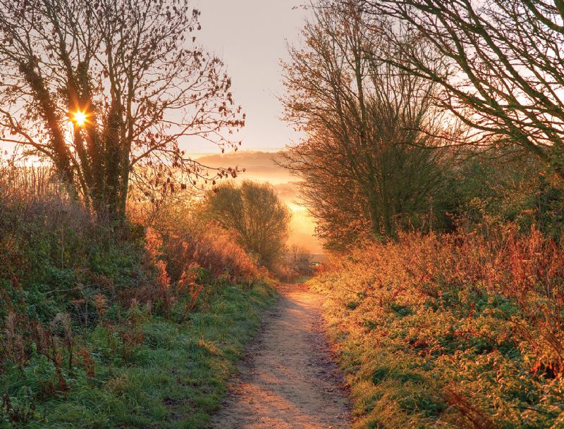 The Cotswold Way, near Chipping Campden