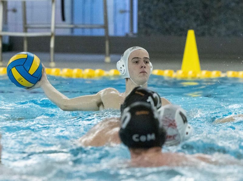 Rising water polo star Harrison Walsh