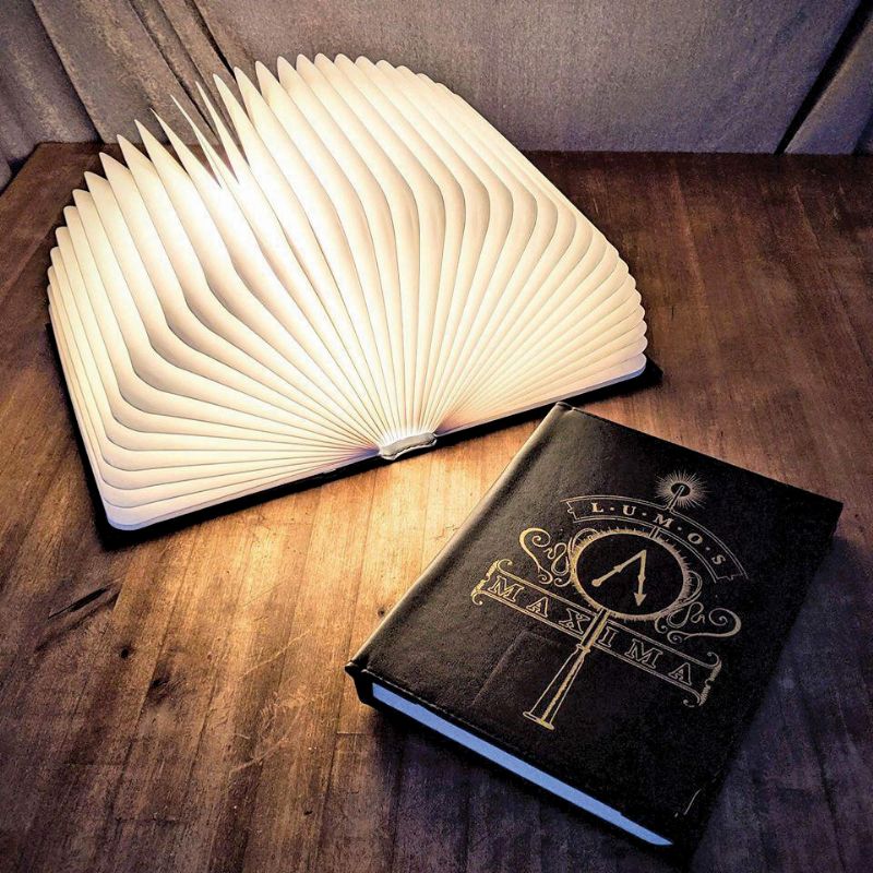 Harry Potter Lumos Book Lamp