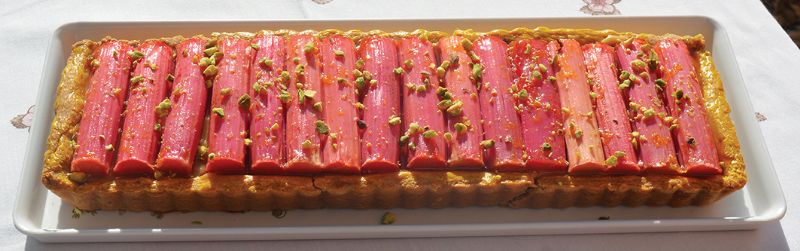 Rhubarb and vanilla custard tart