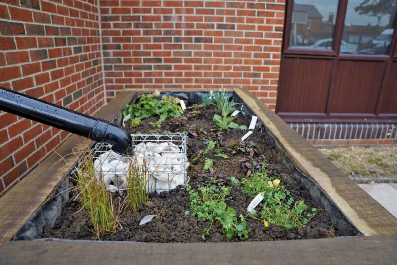 A rainwater garden community project by Tewkesbury Baptist Church. Image: Baazir Kaleelur Rahman