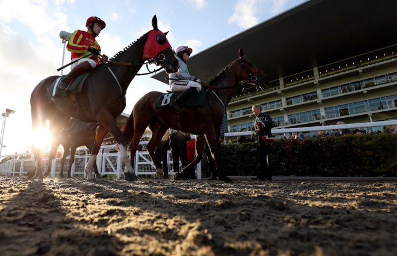 This year’s three-day November Meeting starts on Friday