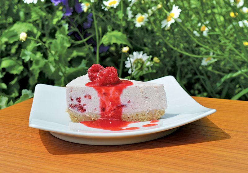 Raspberry Quark Mousse Cake