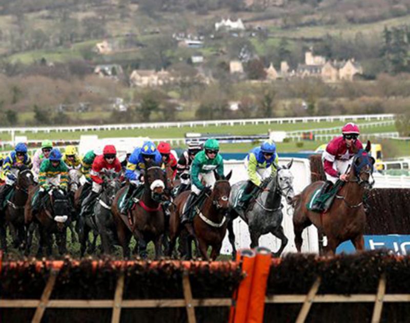 The first race at Cheltenham Racecourse tonight is at 4.55pm