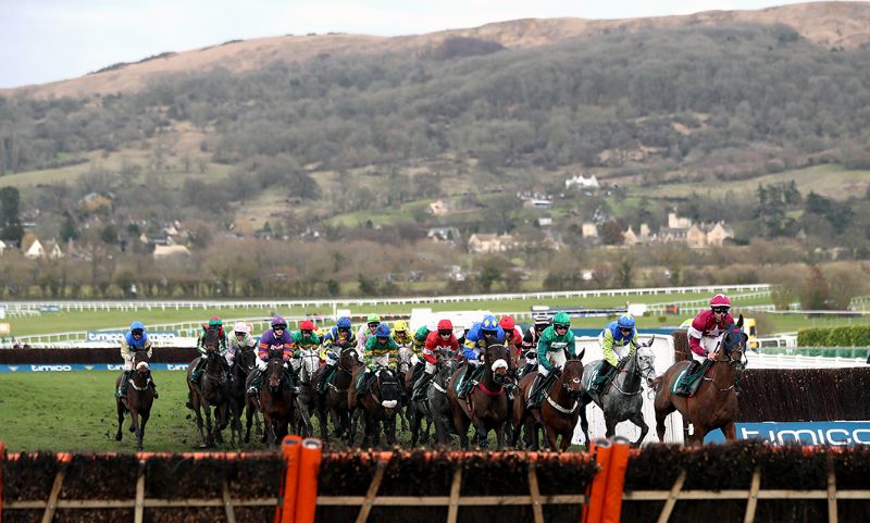 Cheltenham Racecourse is the home of jumps racing