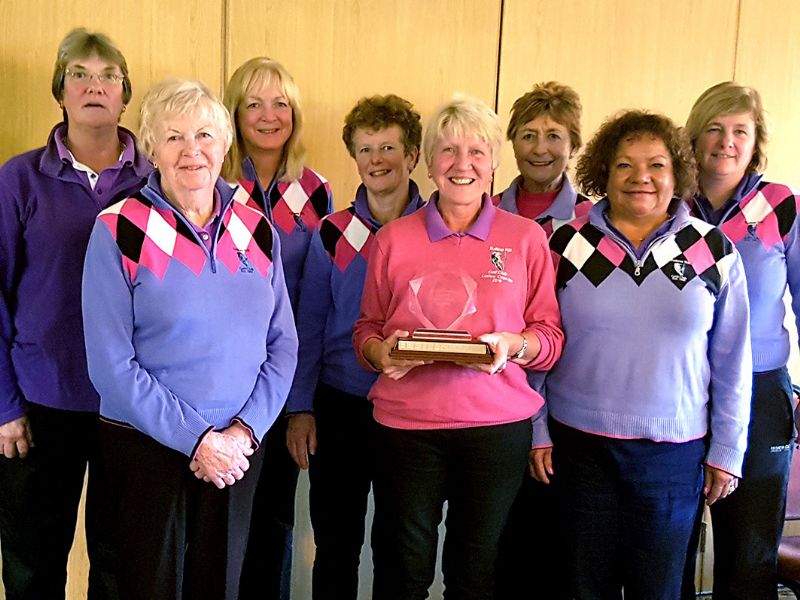 Carol Lane, in pink, with her Rodway Hill team-mates