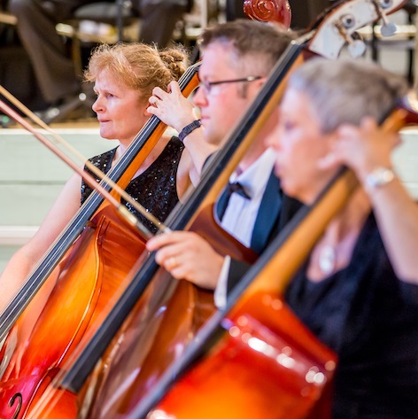 The Cheltenham Symphony Orchestra string section. Photo: Phil Harrison