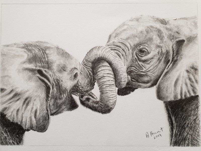Ann is known for her wildlife paintings, especially those of baby elephants at Lilayi Elephant Nursery