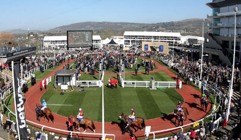 The first race at Cheltenham tomorrow is at 2pm