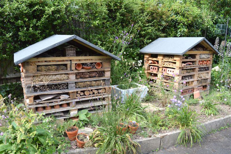 How to make your own insect hotel The Local Answer