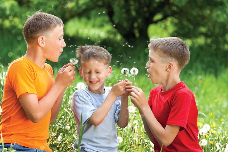Three young brothers blowing dandelion flowers at each other