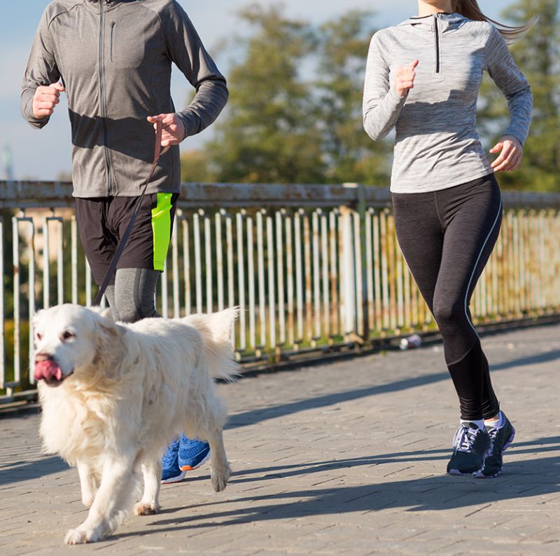 Man and woman running with dog retriever