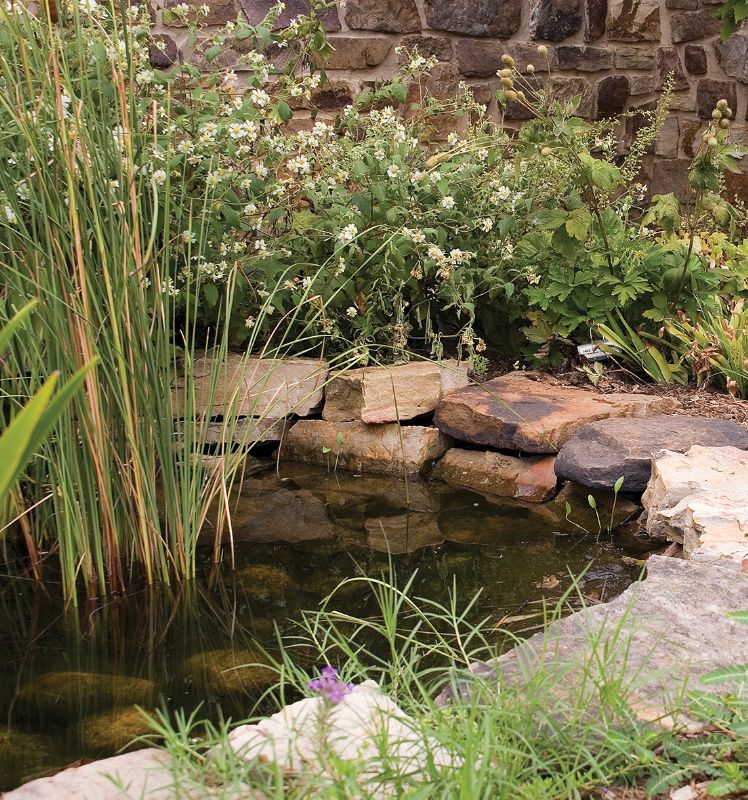 Creating a garden pond The Local Answer